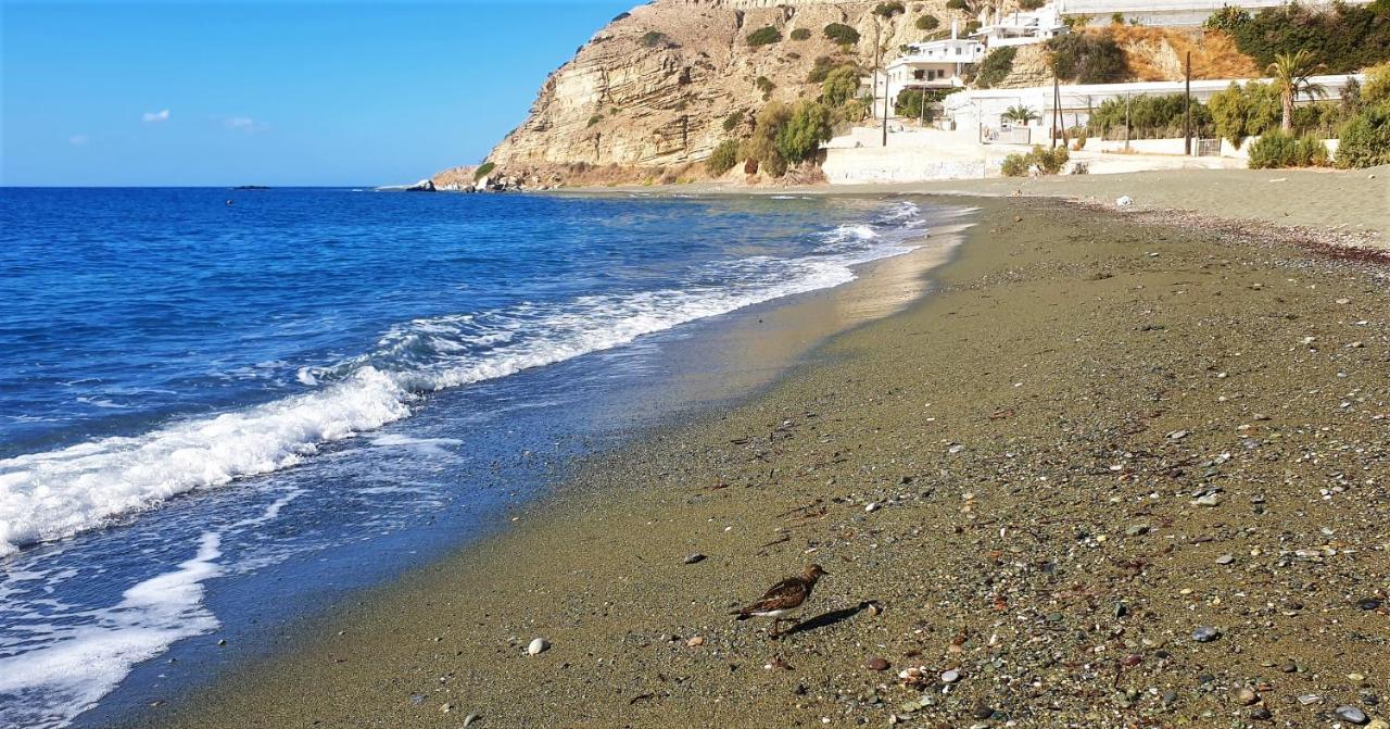 Apartment Tzortzaki-ifestos /kalikovrextis Crete